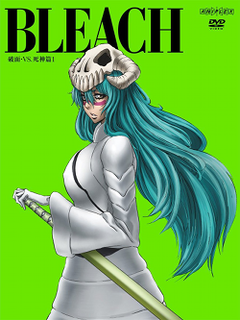 <i>Bleach</i> (season 10) Season of television series