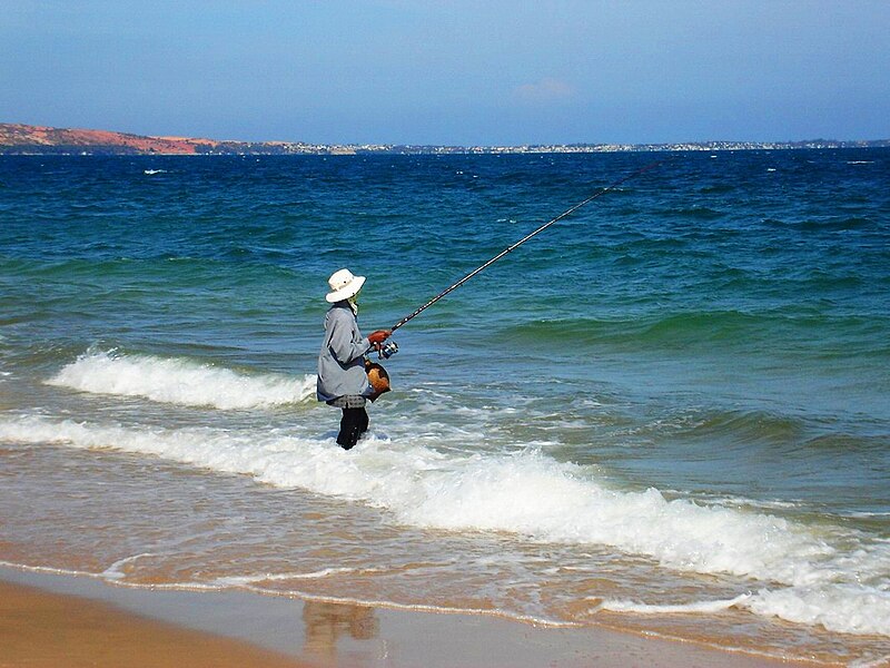 File:Fisherman Mui Ne Beach Vietnam.JPG