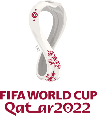 <span class="mw-page-title-main">2022 FIFA World Cup</span> Association football tournament in Qatar