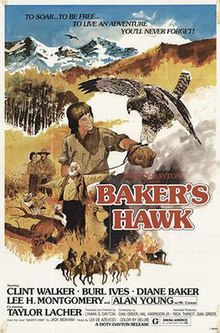 Beykerning Hawk.jpg