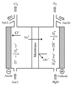 A chlor-alkali cell Chlor alkali cell.png