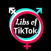 Far-right anti-LGBT Twitter account Libs of TikTok (logo pictured) uses the term "groomers" as a pejorative for LGBT people. Libs of TikTok logo.jpg