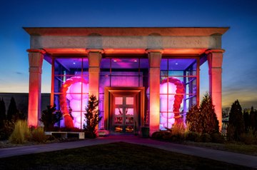 Nancy Davidson, Hive, fabric, LED, blowers, electronic wiring, fabric, computer, 222" x 144" x 144", 2020, Krannert Art Museum. Nancy Davidson Hive 2020.jpg