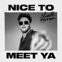 Niall Horan - Tanıştığımıza Memnun Oldum.Png