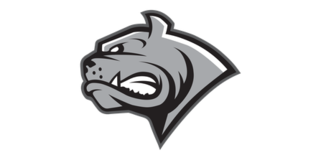 Dornbirn Bulldogs Austrian hockey club