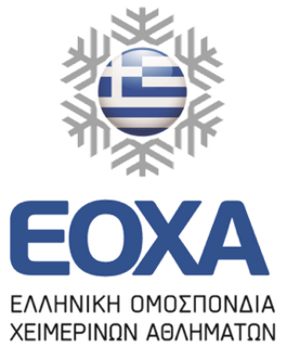 Hellenic Ice Sports Federation