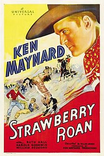 <i>Strawberry Roan</i> (1933 film) 1933 film directed by Alan James