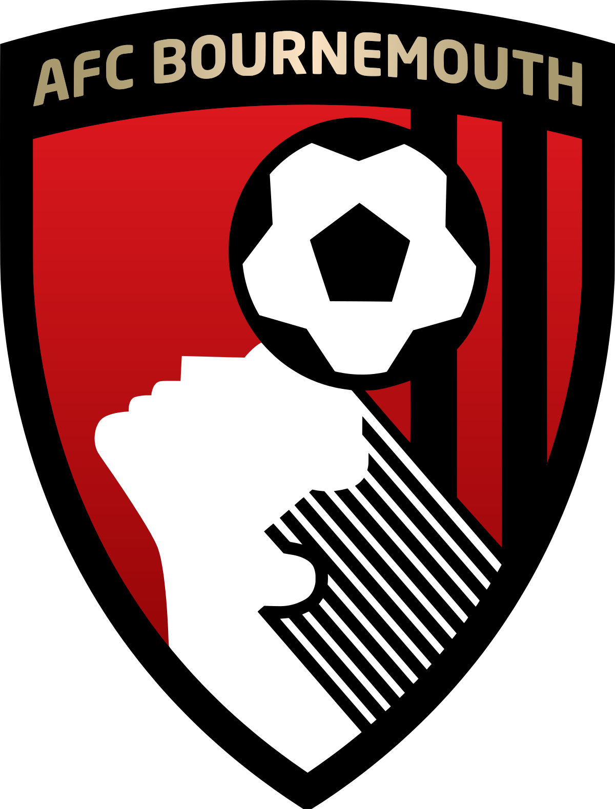 AFC Bournemouth - Wikipedia