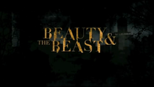 beauty and the beast cw cast