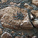 Hematite on Mars as found in form of "blueberries" (named by NASA)