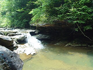 <span class="mw-page-title-main">Red Bird River</span> River in Kentucky, United States