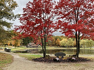 <span class="mw-page-title-main">White Park (Concord, New Hampshire)</span> United States historic place