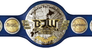 <span class="mw-page-title-main">BJW Junior Heavyweight Championship (2017–present)</span>