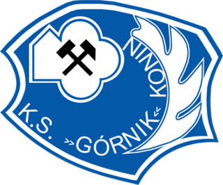 <span class="mw-page-title-main">Górnik Konin</span> Football club