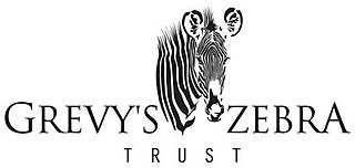 <span class="mw-page-title-main">Grévy's Zebra Trust</span> Organization