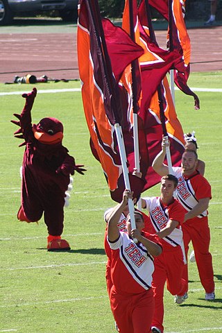 <span class="mw-page-title-main">HokieBird</span> Mascot of Virginia Polytechnic Institute and State University