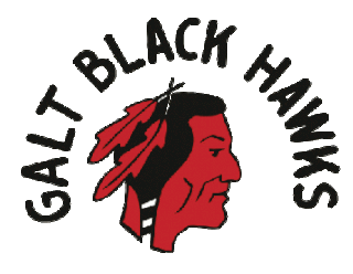 <span class="mw-page-title-main">Galt Black Hawks</span> Ice hockey team in Galt, Ontario