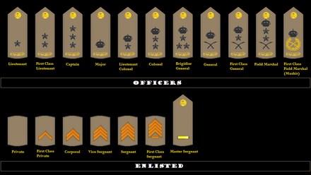 Insignia for different ranks
