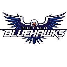 Logo of the defunct Buffalo Blue Hawks ABA basketball team.jpg