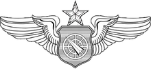 Air Battle аға менеджері Badge.png