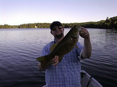Smallmouth bass from Eagle Lake in Ontario, Canada (Released)