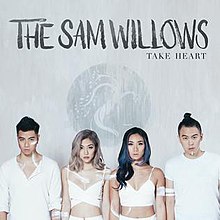 جلد آلبوم The Sam Willows Take Heart Art.jpg