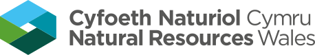 File:Cyfoeth Naturiol Cymru - Natural Resources Wales Logo.svg