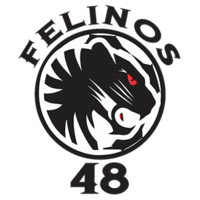 Felinos 48