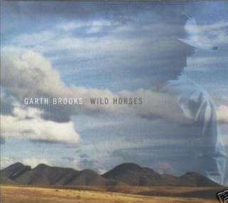 <span class="mw-page-title-main">Wild Horses (Garth Brooks song)</span> 2000 single by Garth Brooks