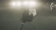 Eilish falls on her knees during the song's second chorus; she later shared the pictures of her bruised knees. Billie Eilish NDA music video screenshot.png