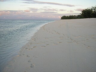 <span class="mw-page-title-main">Masthead Island</span> Protected area in Queensland, Australia