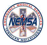 Logo NEMSA.png