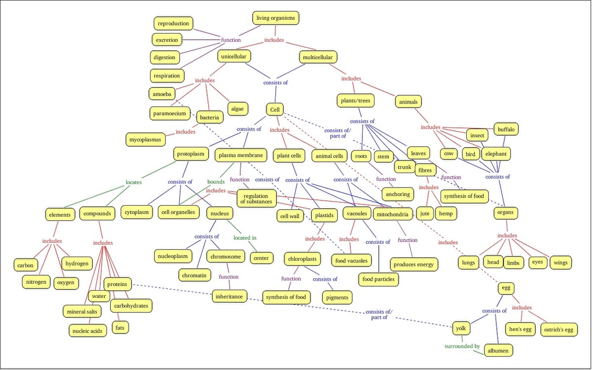 File Refined Concept Map Cell Structure And Function Jpg Wikipedia