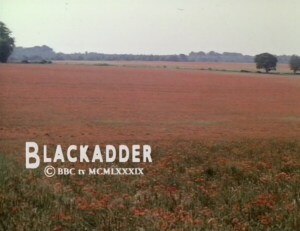 The ending shows a field of poppies to reflect on the deaths of soldiers; it was inspired by John McCrae's poem "In Flanders Fields".