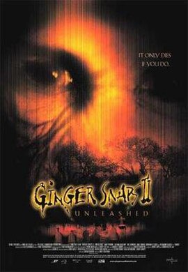 Theatrical release poster