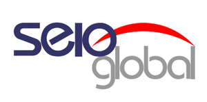 Safesoft Global logosu