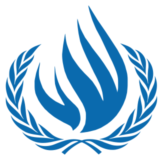 <span class="mw-page-title-main">United Nations Human Rights Council</span> United Nations body tasked with the promotion of human rights