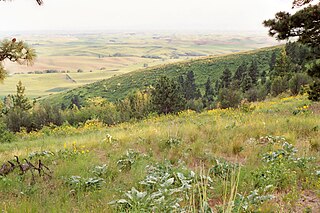 <span class="mw-page-title-main">Kamiak Butte</span>