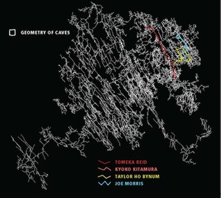 <i>Geometry of Caves</i> 2018 studio album by Tomeka Reid, Kyoko Kitamura, Taylor Ho Bynum, and Joe Morris