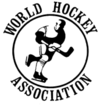 World Hockey Assoc. on X: Way before the Vegas @GoldenKnights, there was  the New York Golden Bladesvery briefly Initially the NY Raiders, the  club went through some changes 1972-73 - NY Raiders