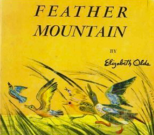 Feather Mountain (book).png