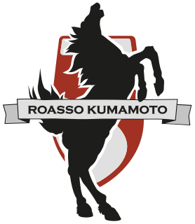 <span class="mw-page-title-main">Roasso Kumamoto</span> Japanese football club