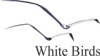 <span class="mw-page-title-main">White Birds Productions</span>
