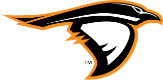 <span class="mw-page-title-main">Anderson Ravens and Lady Ravens</span> Athletic teams representing Anderson University (Indiana)