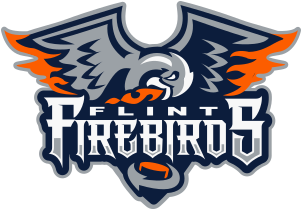 File:Flint Firebirds logo.svg