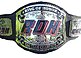 ROH old school tag belt.jpg
