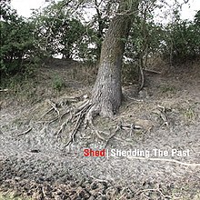Shed-shedding-the-past.jpg