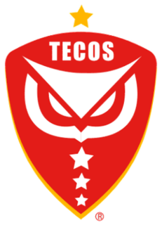 <span class="mw-page-title-main">Tecos F.C.</span> Football club
