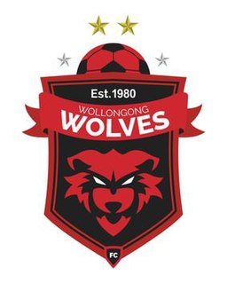 Wollongong Wolves FC Football club