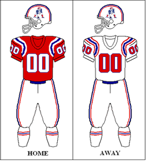 1988 New England Patriots season Season of National Football League team the New England Patriots